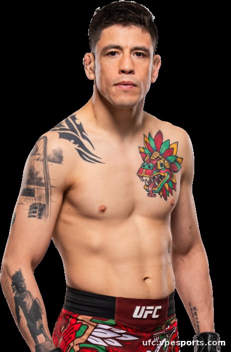 Brandon Moreno UFC