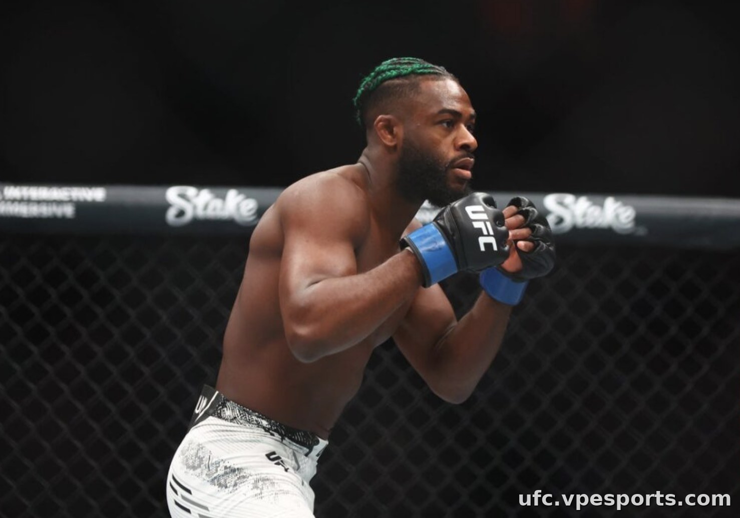 Aljamain Sterling ufc