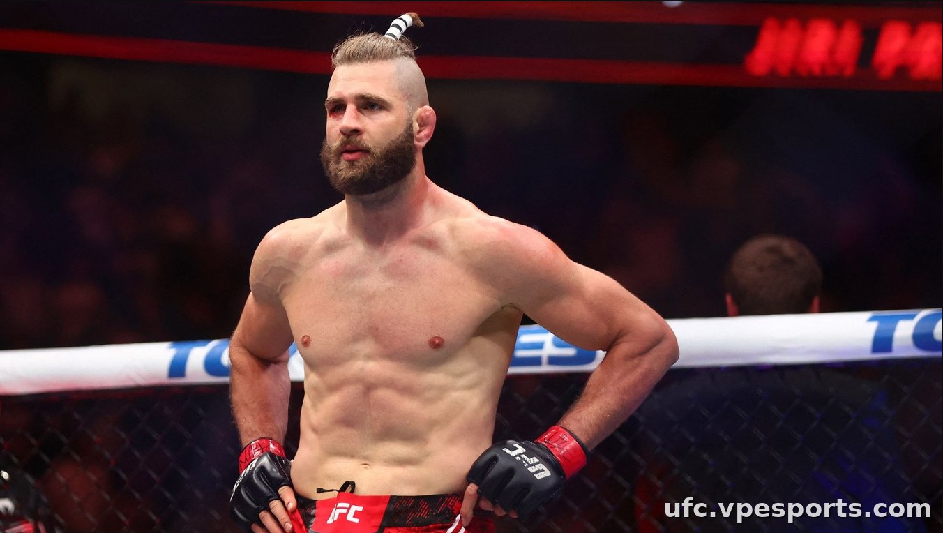 Jiri Prochazka ufc