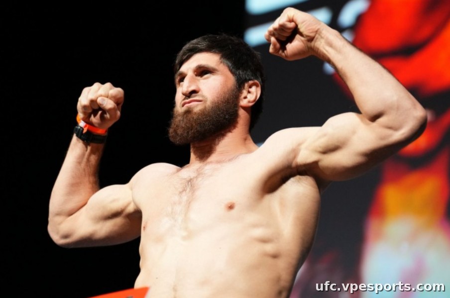 Magomed Ankalaev ufc