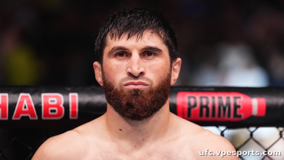 kariera Magomeda Ankalaeva w UFC