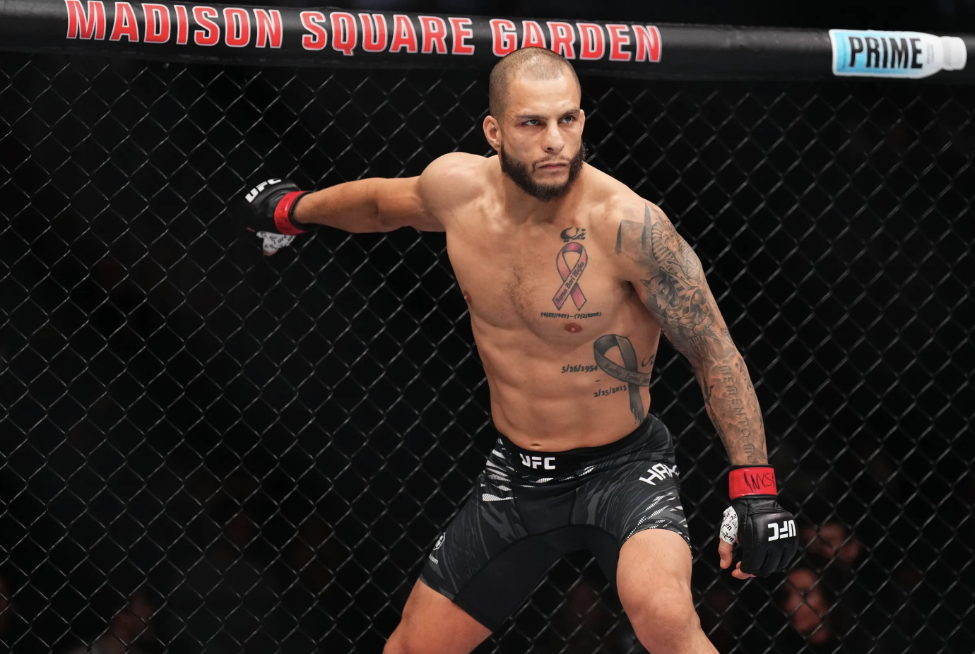 Bassil Hafez ufc