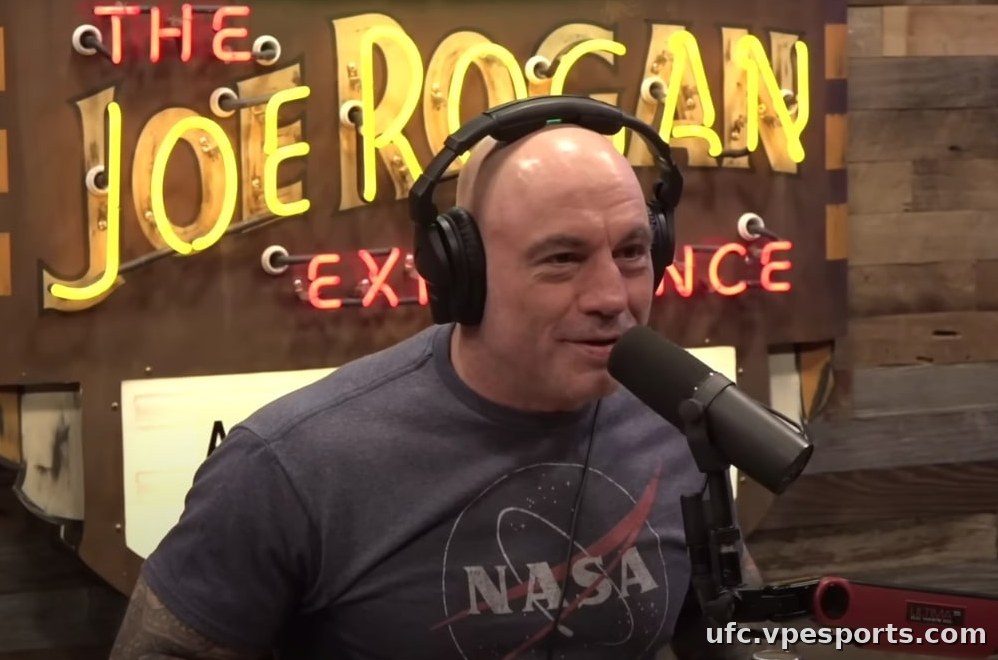 Joe Rogan ufc