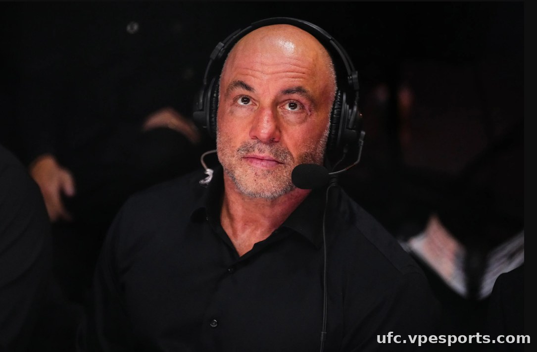 Joe Rogan UFC