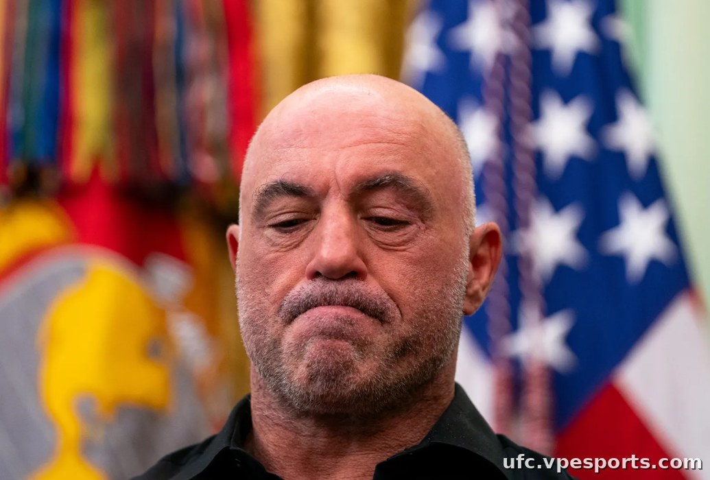 Joe Rogan UFC