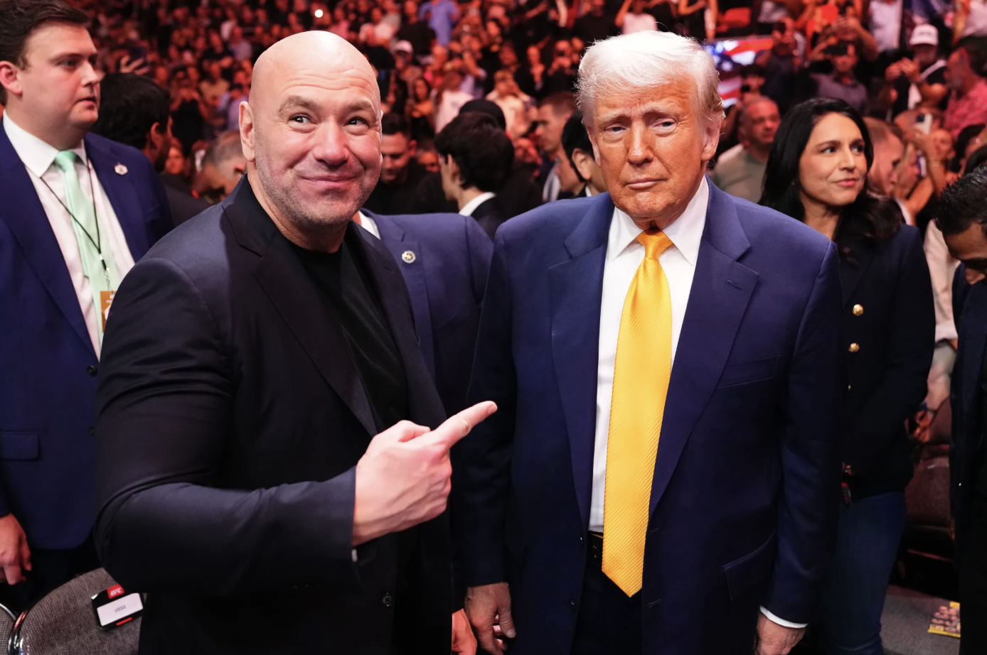 dana white