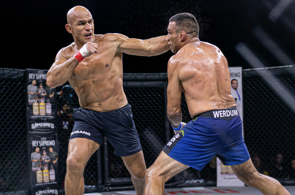 fabricio werdum