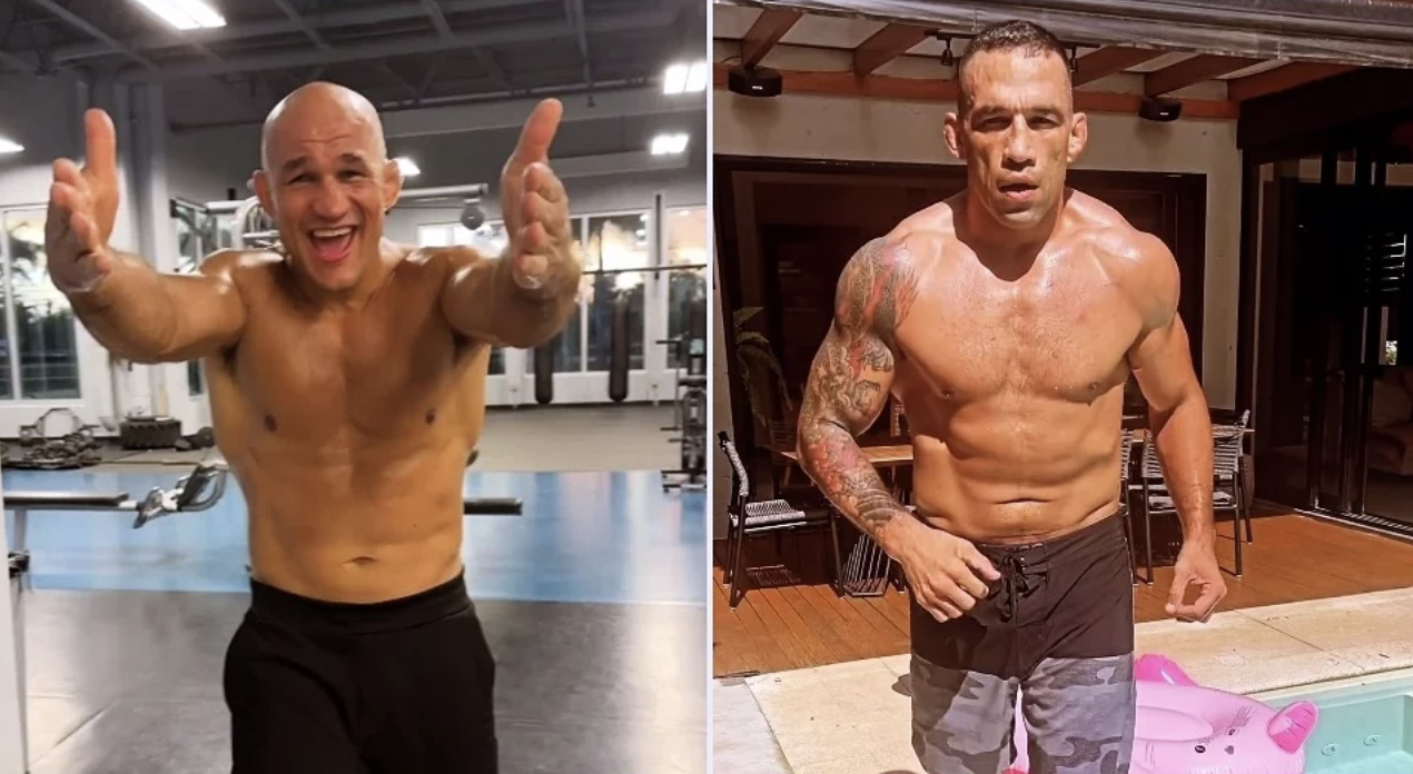 junior dos santos vs fabricio werdum