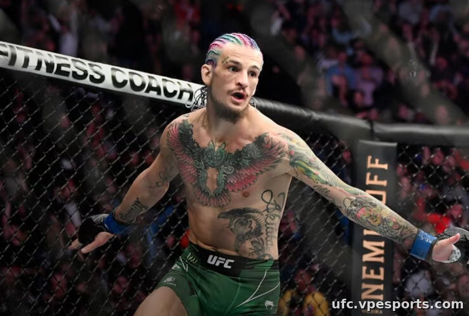 о мэлли ufc