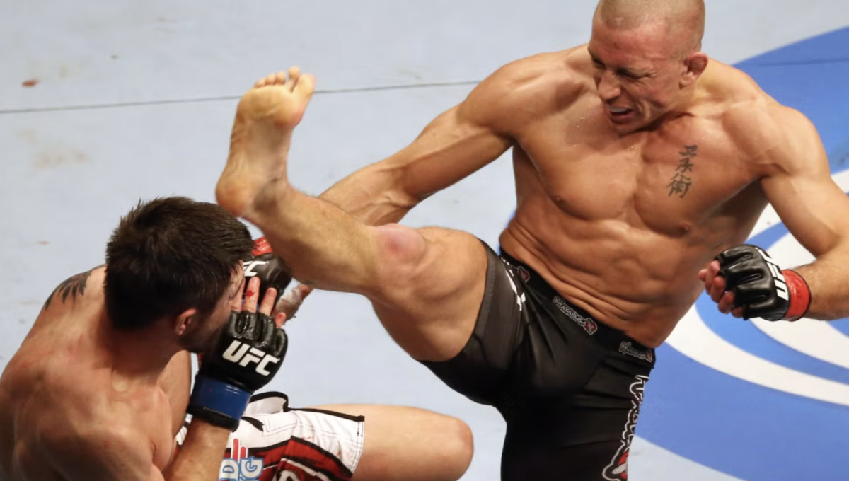 Georges St-Pierre ufc