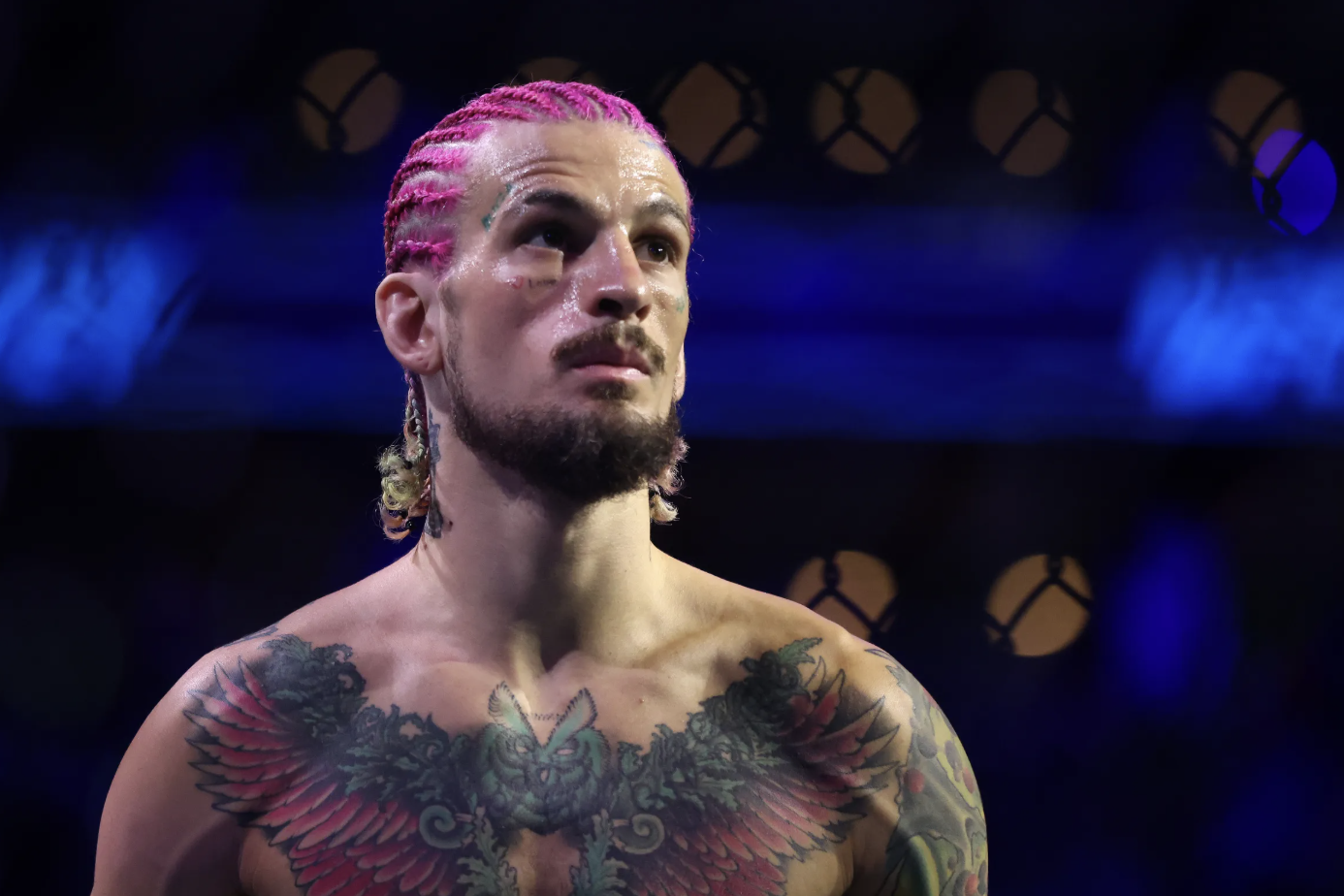 Sean O'Malley ufc