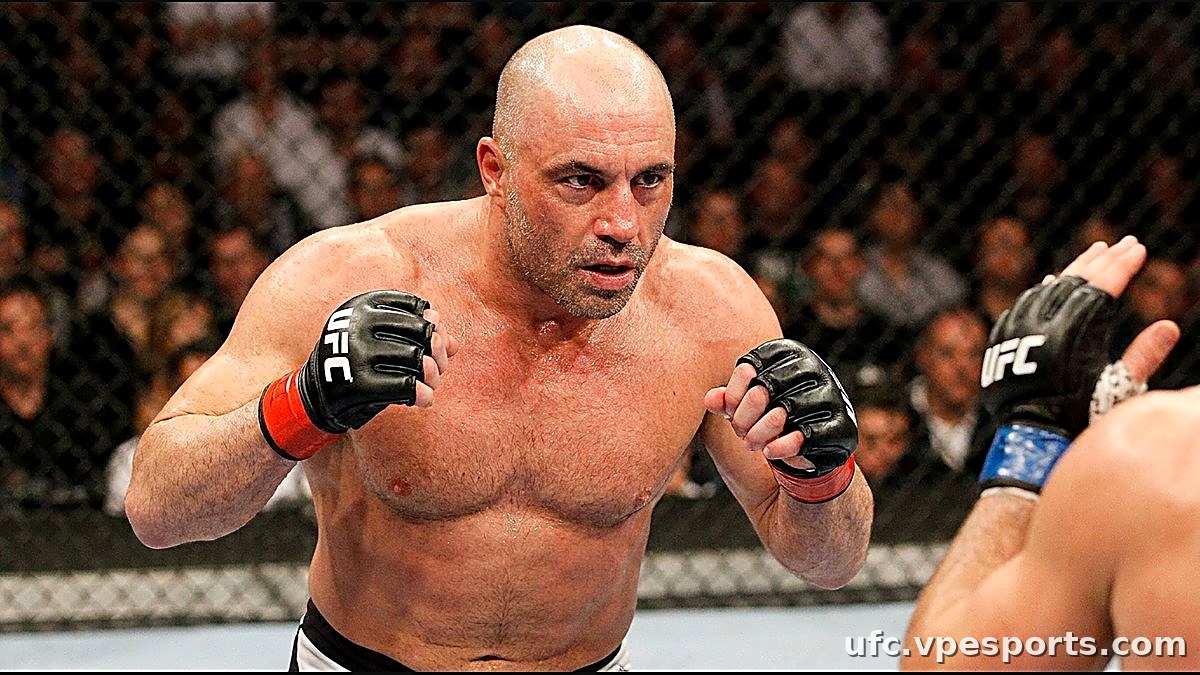 Joe Rogan UFC