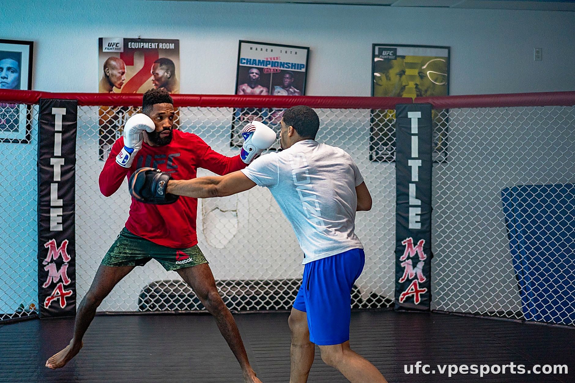 UFC MMA